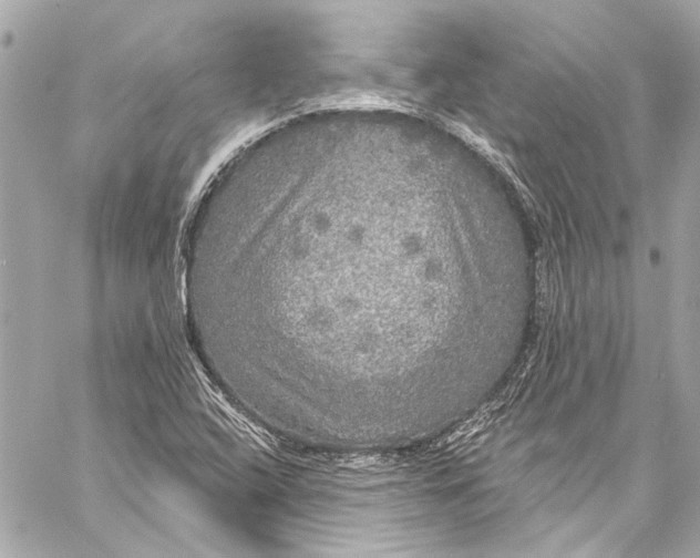 X0000057071408200510071420