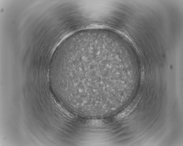 X0000057071409200510071420