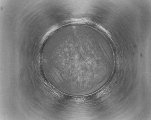 X0000057071411200510071420