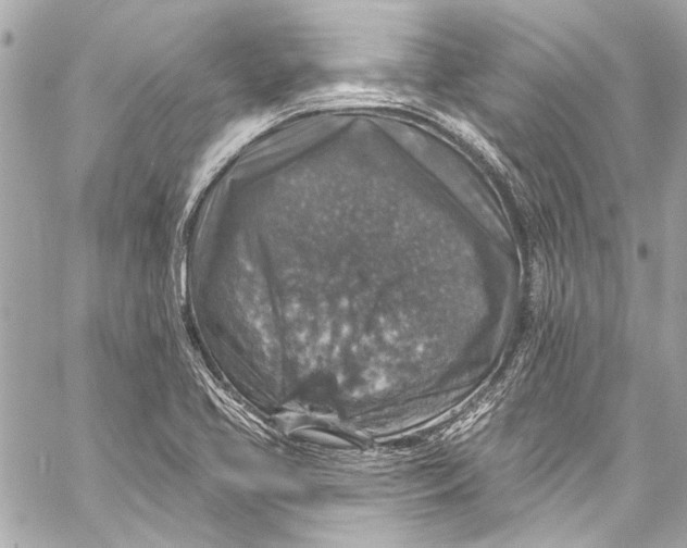 X0000057071413200510071420