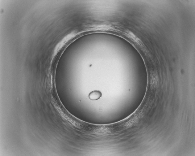 X0000057071414200510071420