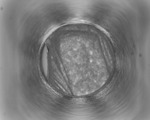 X0000057071415200510071420