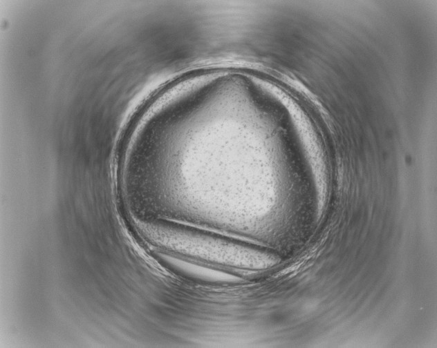 X0000057071416200510071420