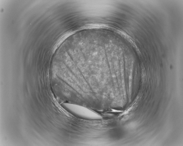 X0000057071417200510071421