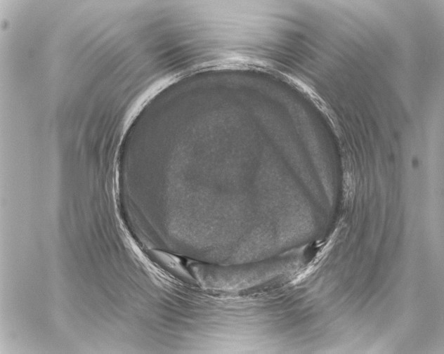 X0000057071418200510071421