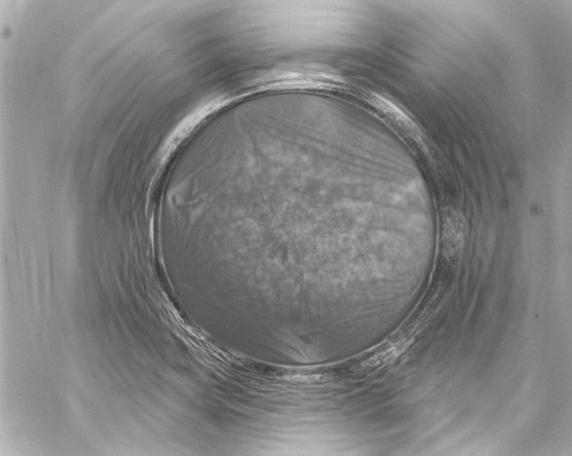 X0000057071419200510071421