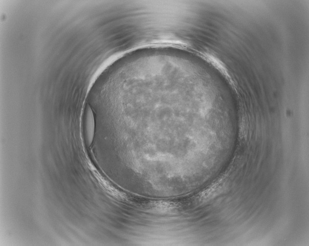 X0000057071420200510071421