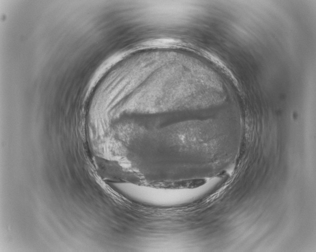 X0000057071421200510071421