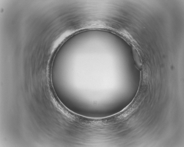 X0000057071422200510071421