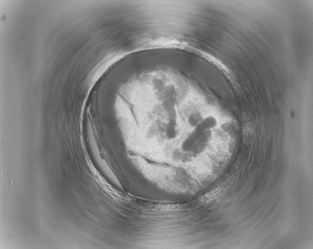 X0000057071423200510071421