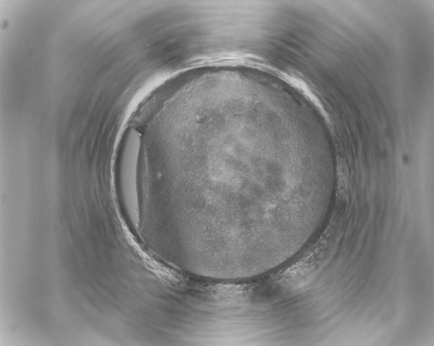 X0000057071424200510071421