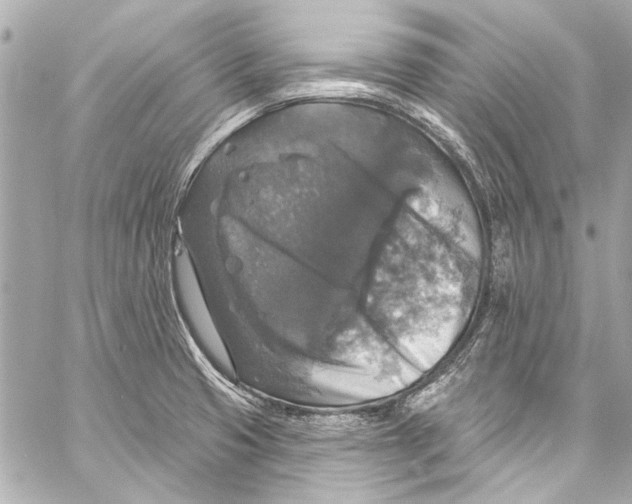 X0000057071425200510071421