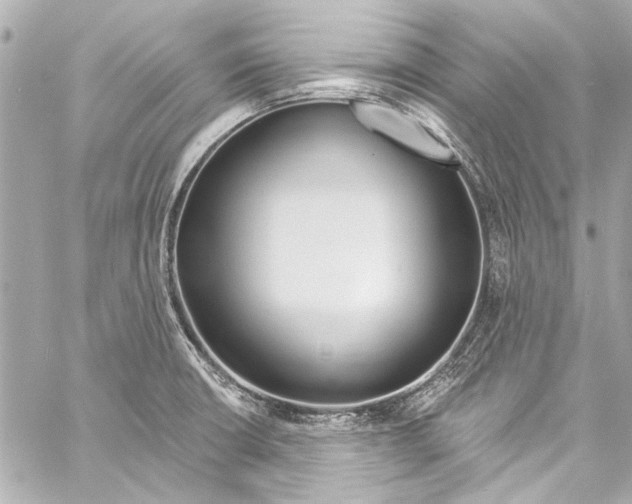 X0000057071426200510071421