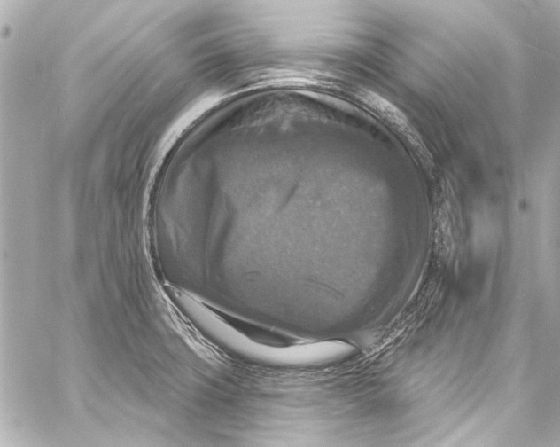 X0000057071427200510071421