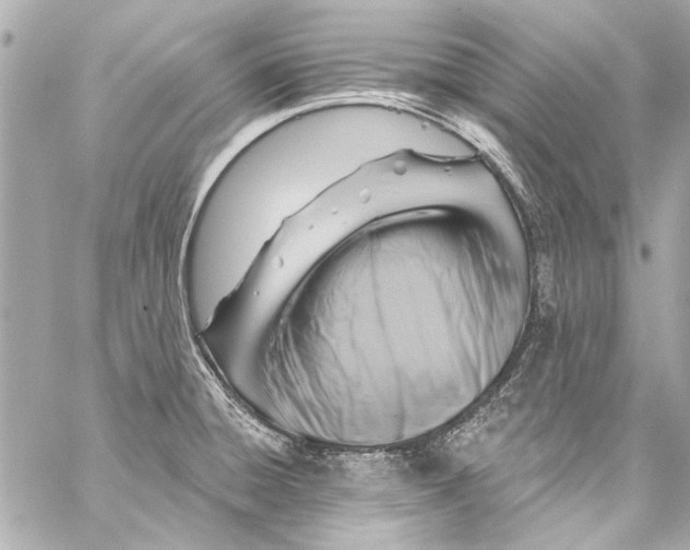 X0000057071428200510071421