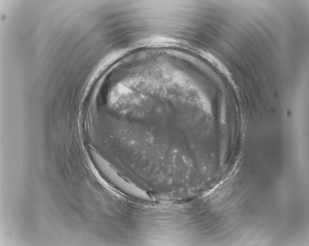 X0000057071429200510071421