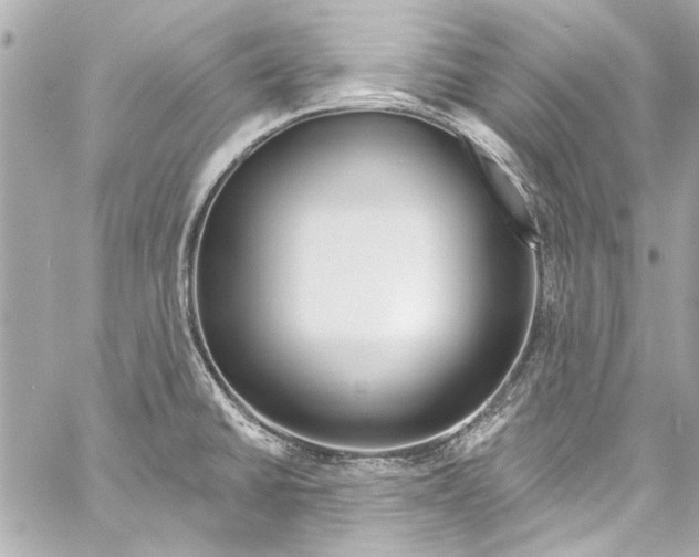 X0000057071430200510071421