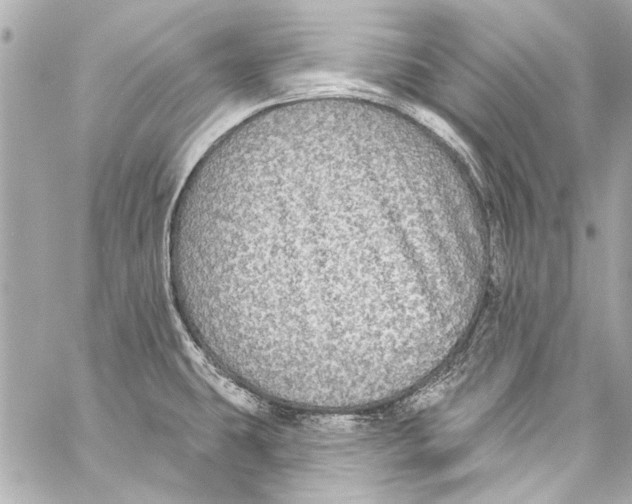 X0000057071431200510071421