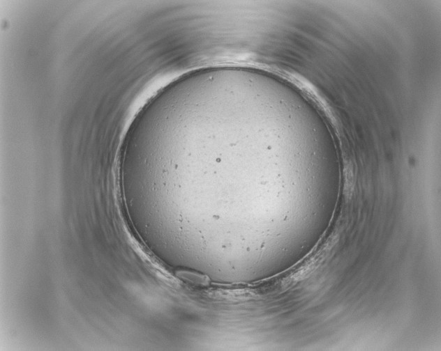 X0000057071432200510071421