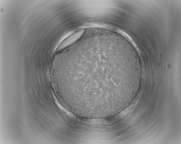 X0000057071433200510071421