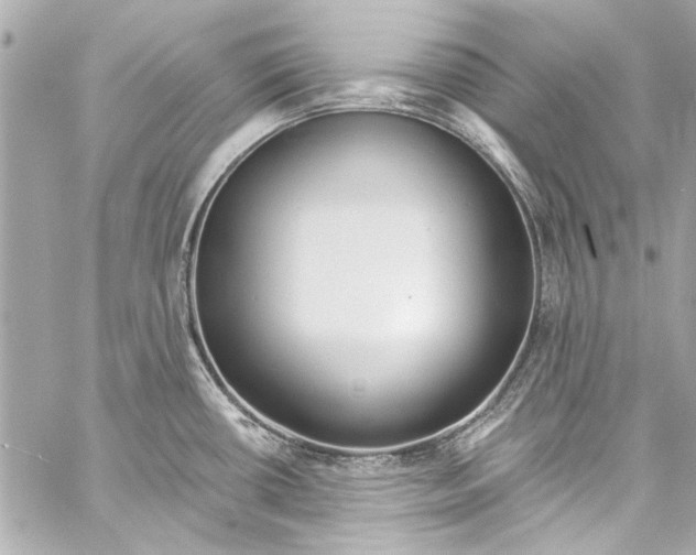 X0000057071434200510071421