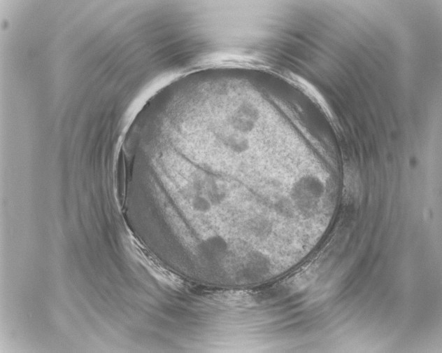 X0000057071435200510071421