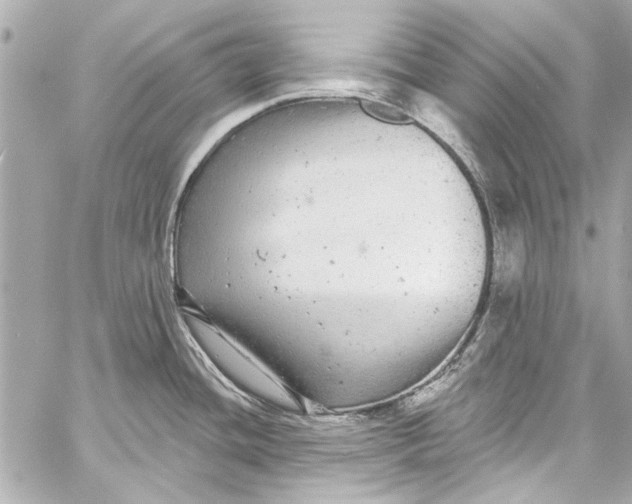 X0000057071436200510071421