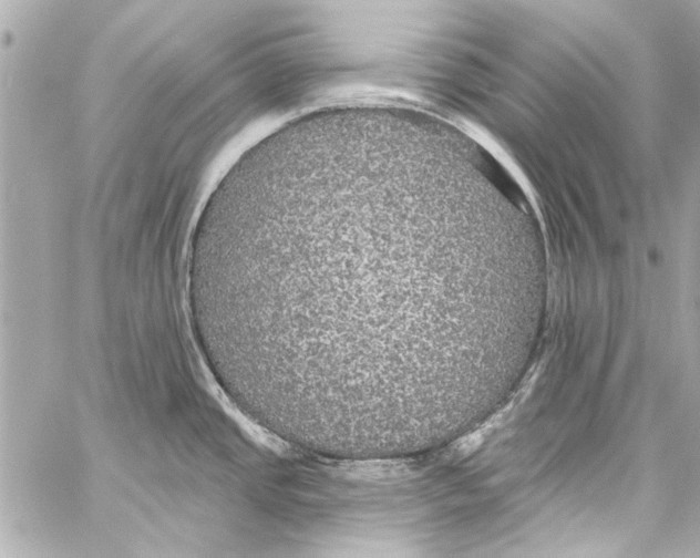 X0000057071437200510071421