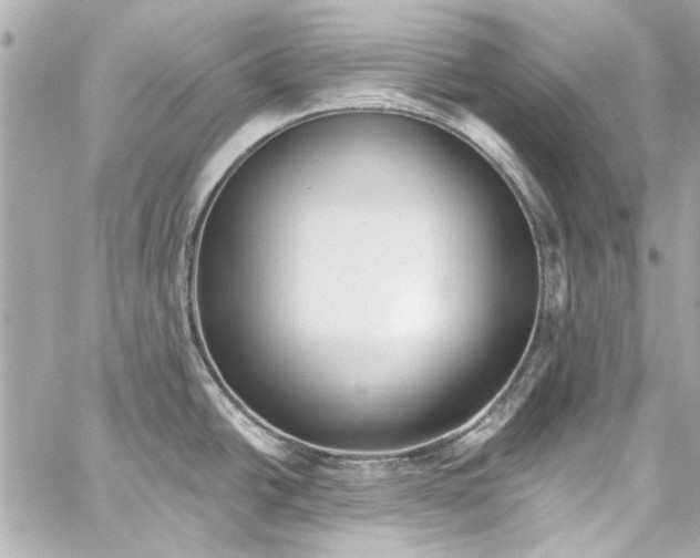 X0000057071438200510071421