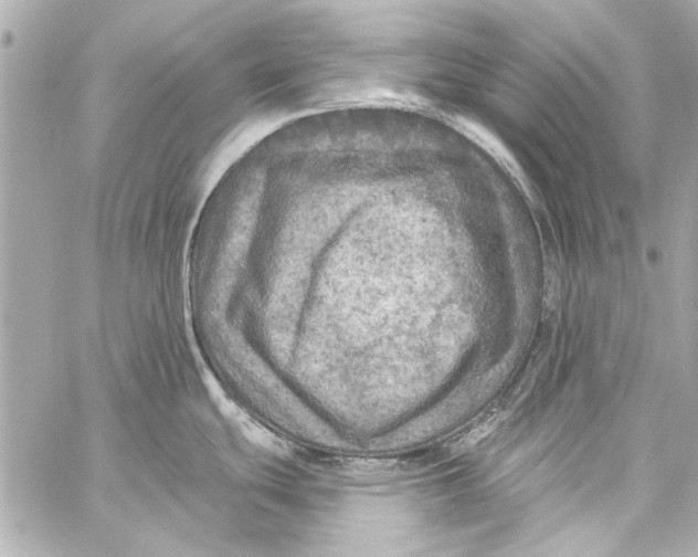 X0000057071439200510071421