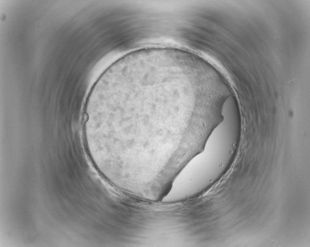 X0000057071440200510071421