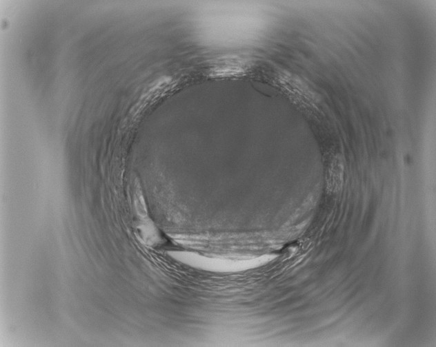 X0000057071441200510071420