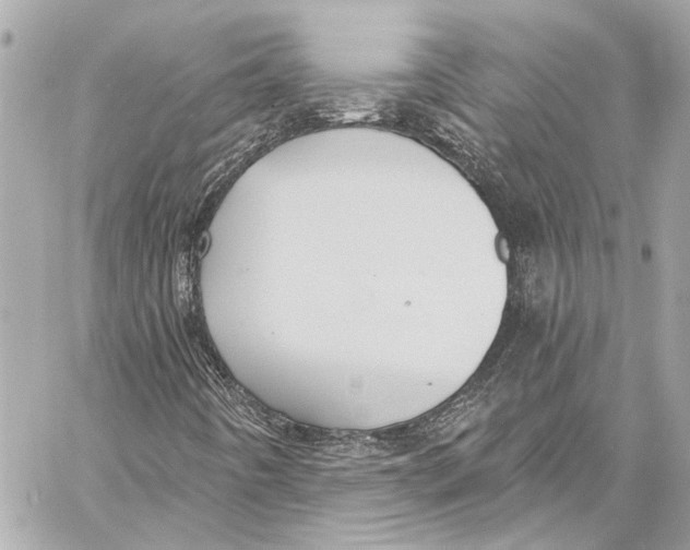 X0000057071442200510071420