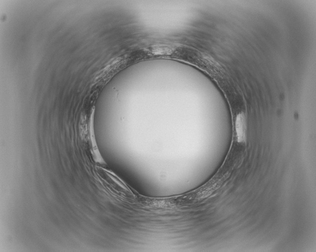 X0000057071443200510071420