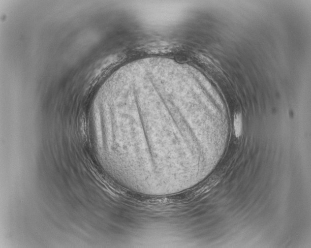 X0000057071444200510071420