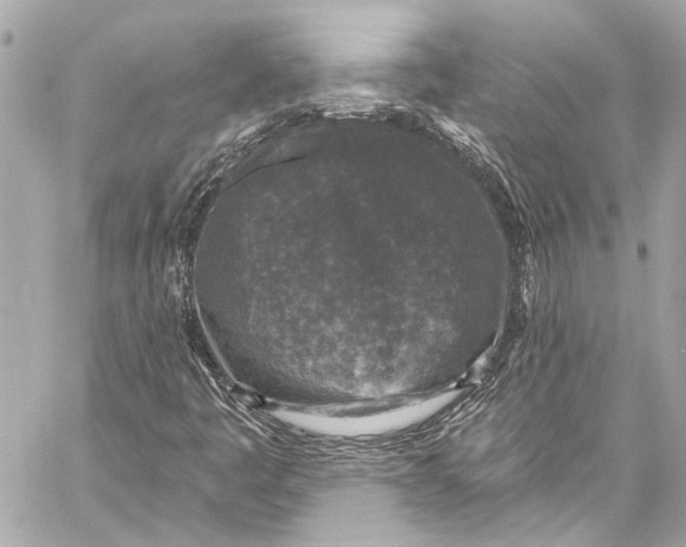 X0000057071445200510071420