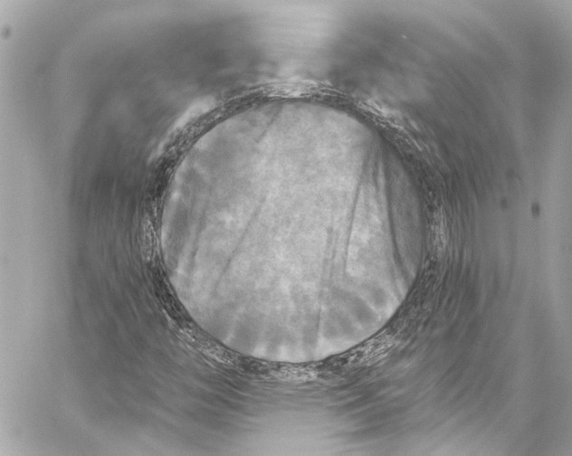 X0000057071446200510071420