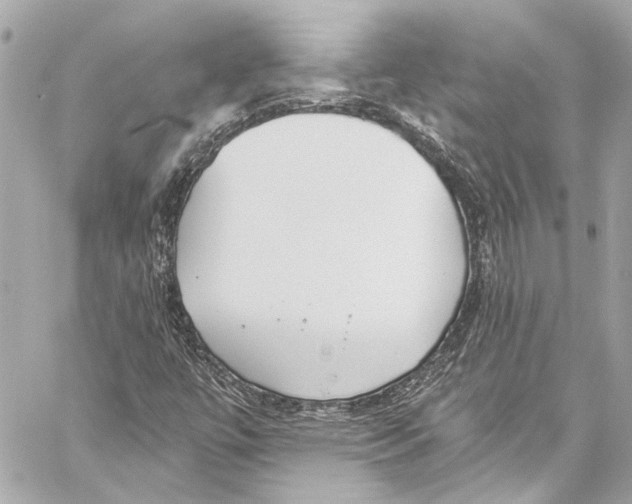 X0000057071447200510071420