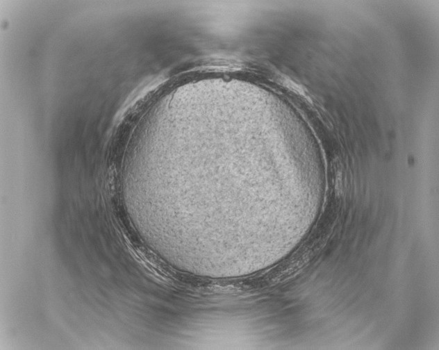 X0000057071448200510071420