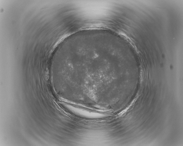 X0000057071449200510071420