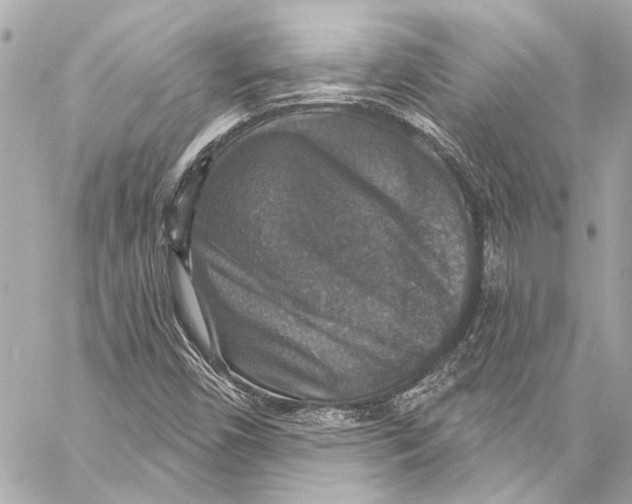 X0000057071450200510071420