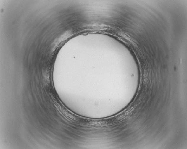 X0000057071451200510071420