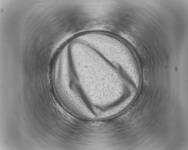 X0000057071452200510071420