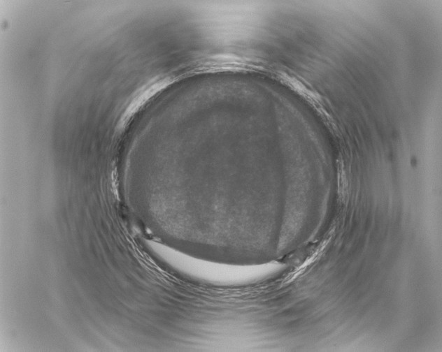 X0000057071453200510071420