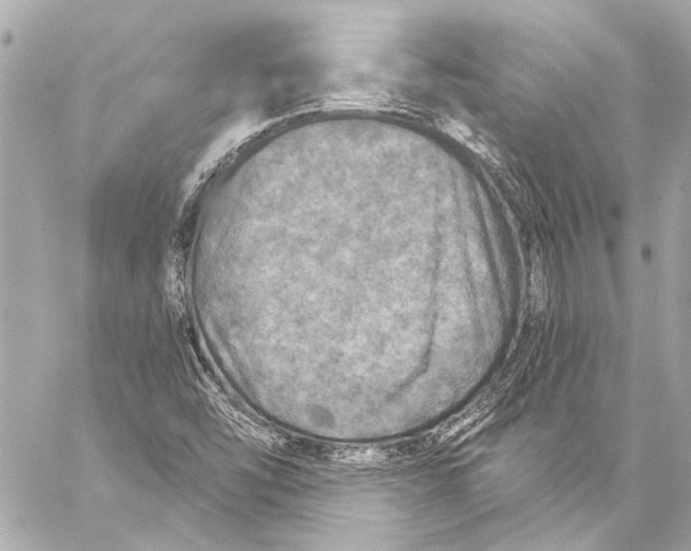 X0000057071454200510071420