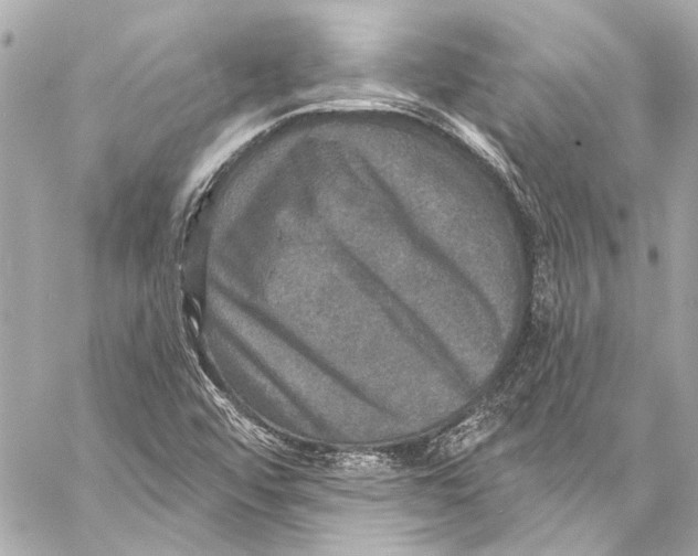 X0000057071456200510071420