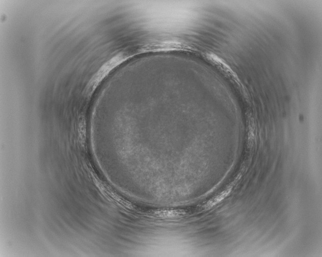 X0000057071457200510071420