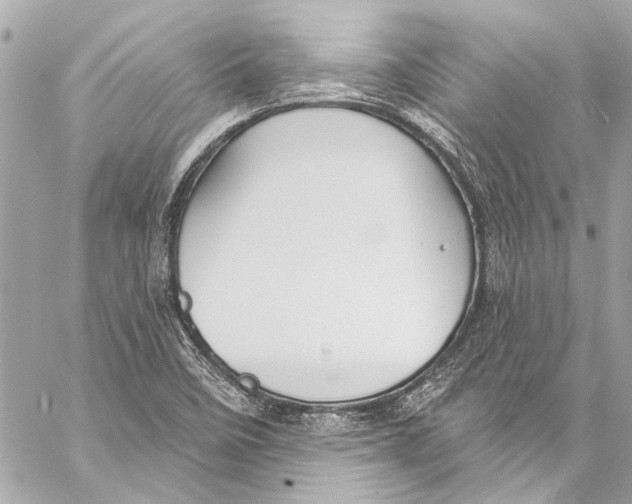 X0000057071458200510071420