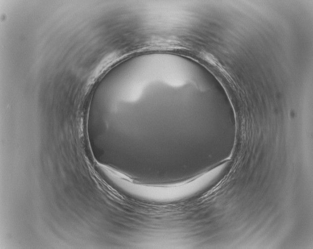 X0000057071459200510071420