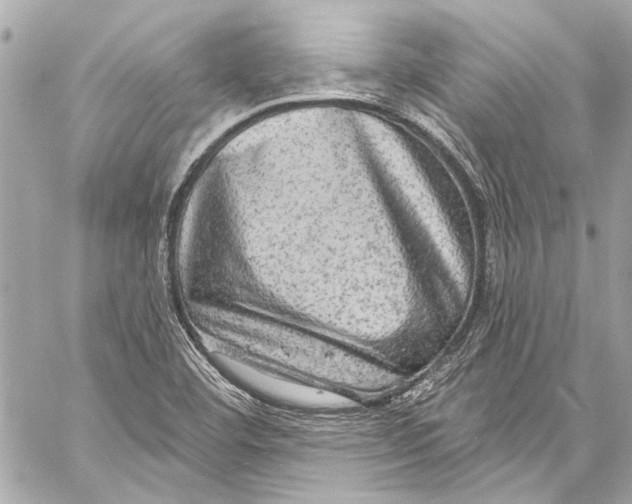 X0000057071460200510071420